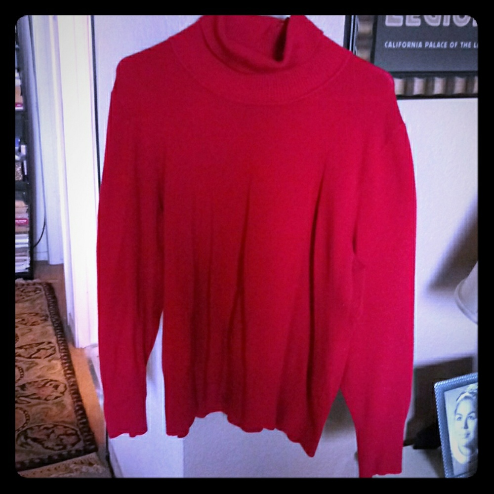 Plus Size Turtle Neck Sweater